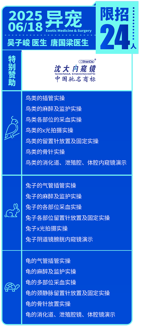 上海国际小动物兽医师专科大会