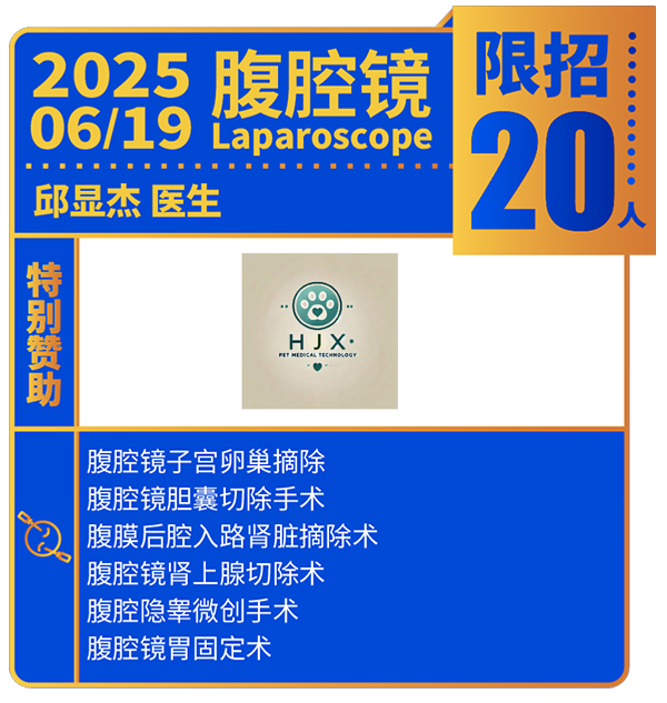 上海国际小动物兽医师专科大会